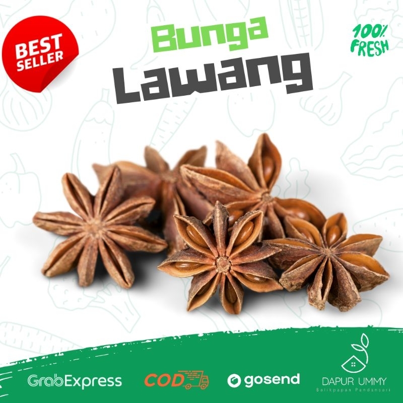 

REMPAH • Bunga Kembang Lawang