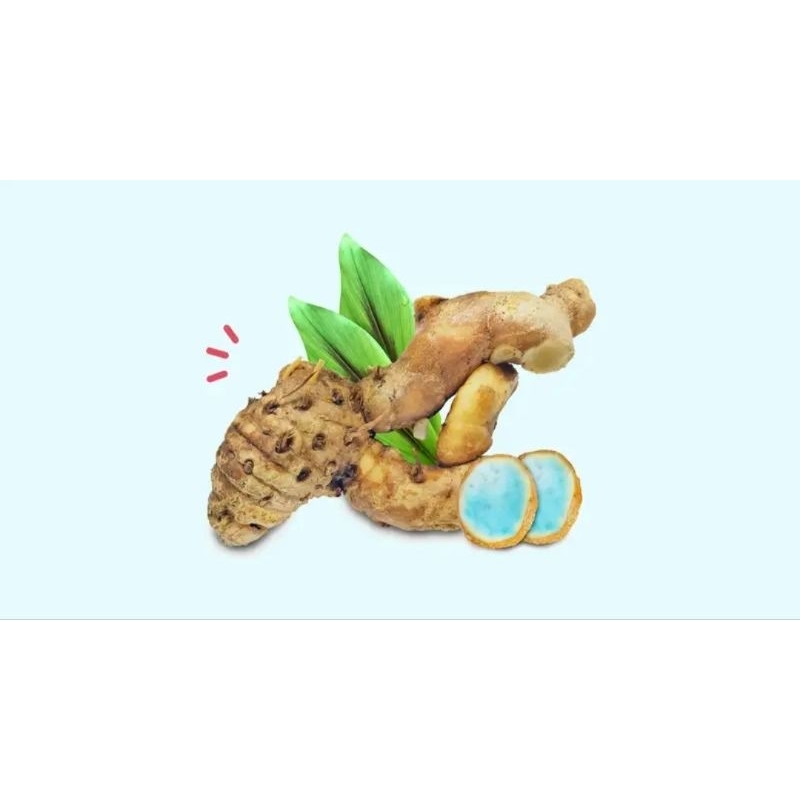 

temu Ireng buat jamu
