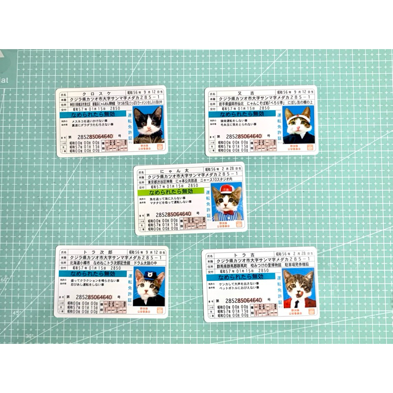 Gotochi Nameneko Namennayo Card Cat ID Card Kartu Kucing KTP Kucing