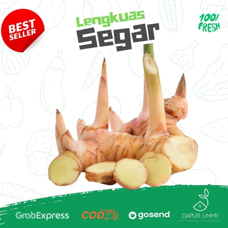 

REMPAH • Lengkuas Merah • Laos 250g