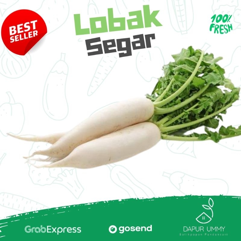 

SAYUR FRESH • Lobak Putih Segar 500g