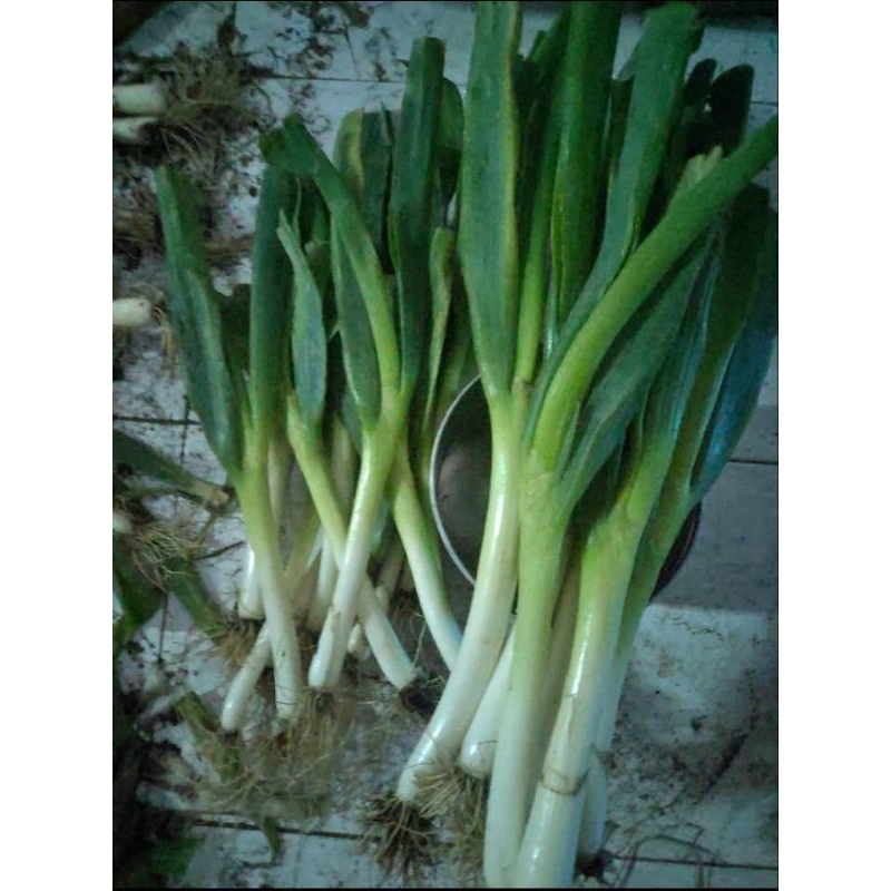 

BAWANG PRI/PRENG 1kg