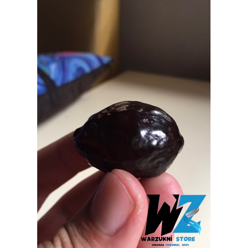 

Muncang/kemiri adu jayanti ori