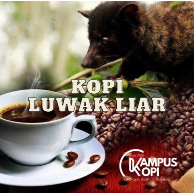 

KOPI GAYO ACEH ARABIKA LUWAK LIAR