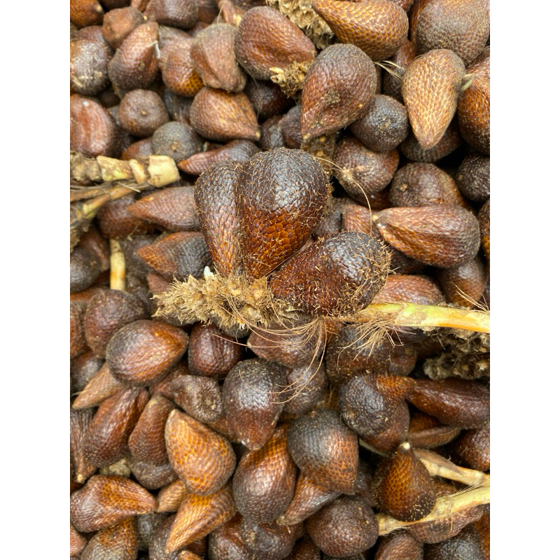 

Salak Pondoh Berat 1 Kg