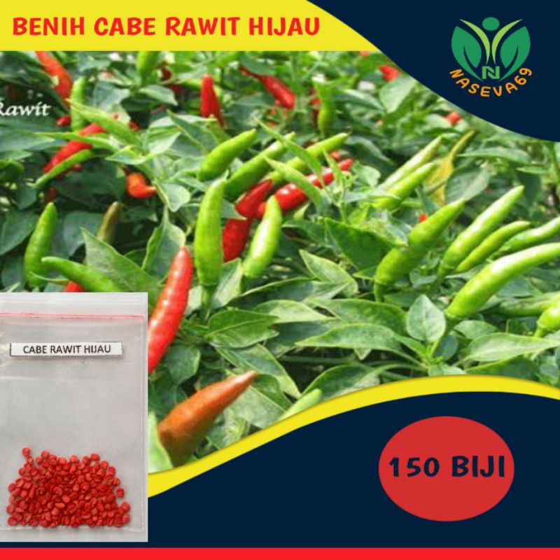 benih bibit cabe rawit hijau /cengek biji unggul