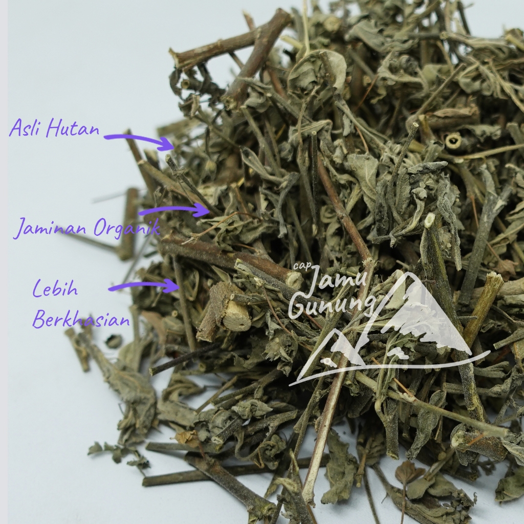 

Daun Sidaguri Kering 250gr Bersih dan Asli