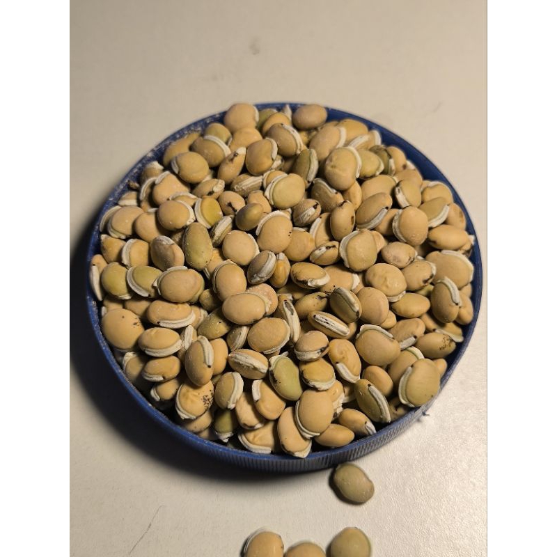 

KOMAK KERING 1 KILO (SUDAH DI PILAH YANG BAGUS)