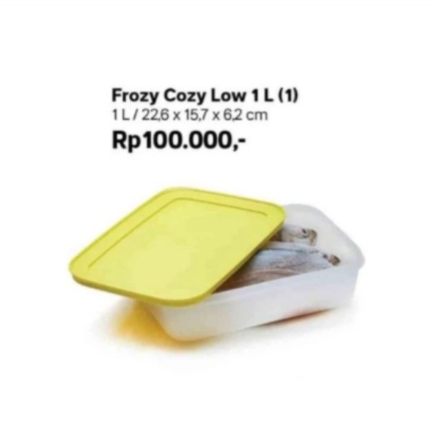 frozy cozy medium low 1L  tupperware