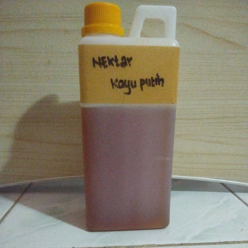 

Madu Murni Nektar bunga Pohon Kayu Putih