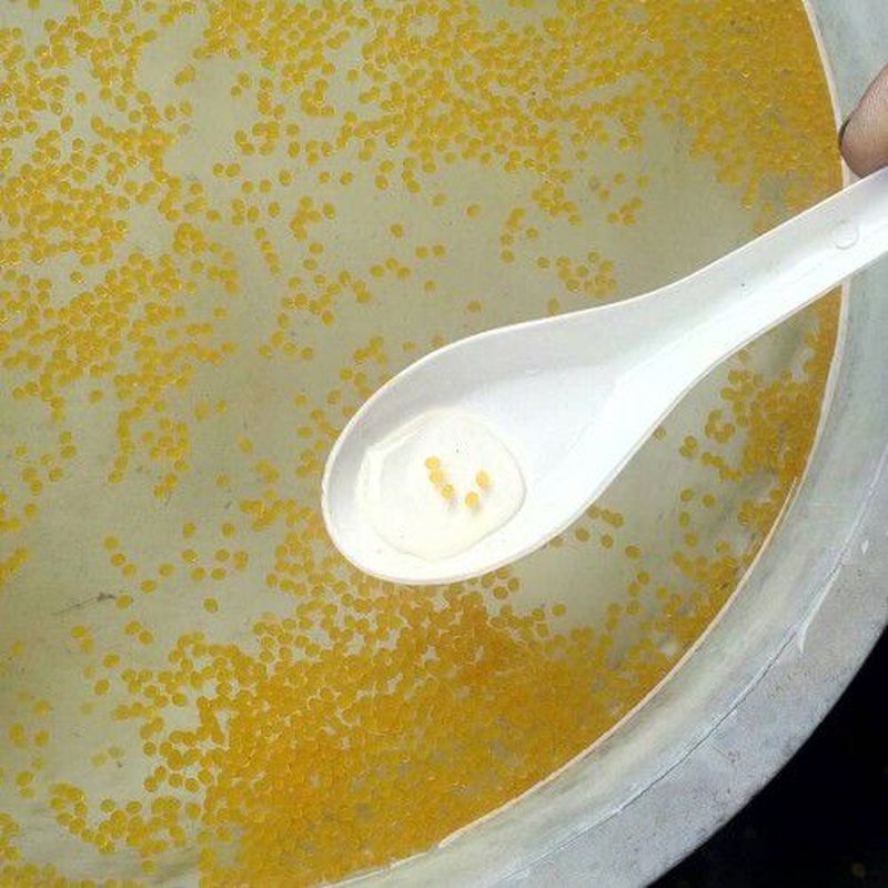 Telur/larva gurame padang