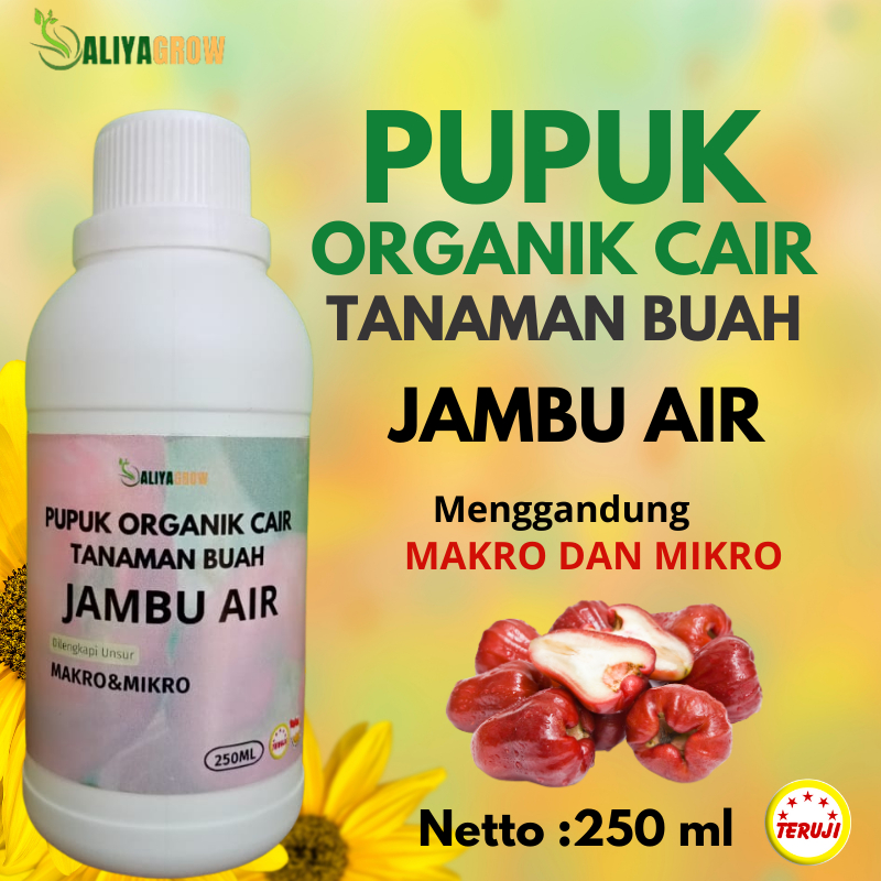 pupuk jambu air cepat berbuah/pupuk pelebat buah jambu air/pupuk tanaman jambu air/pupuk buah jambu