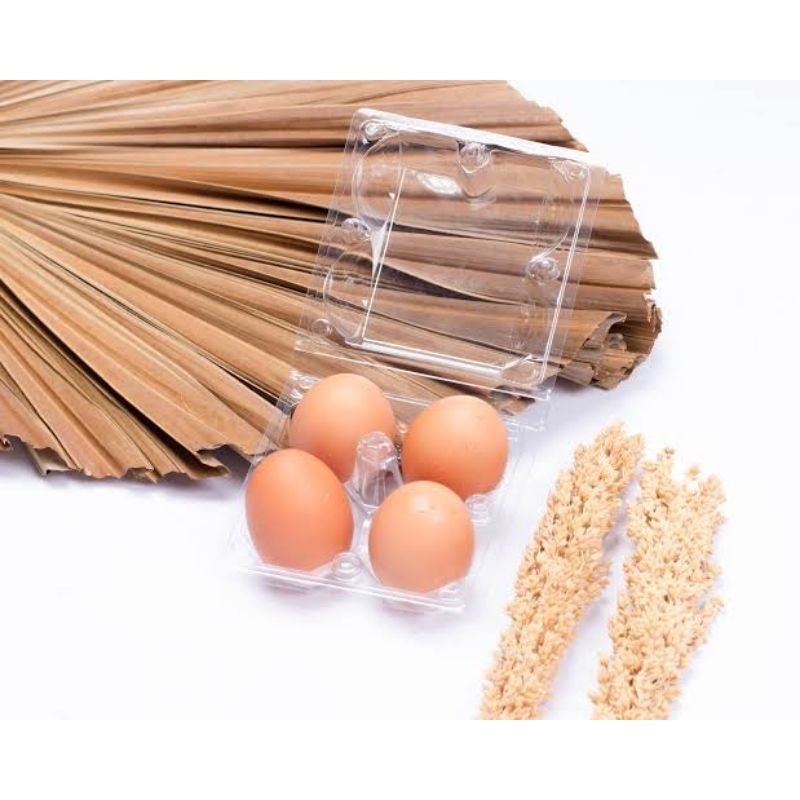 

TELUR AYAM NEGERI ISI 4 PCS (MIKA)