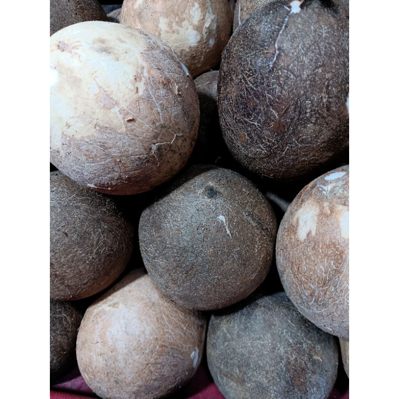 

kelapa utuh 1pcs
