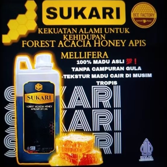 

MADU SUKARI FOREST ACACIA HONEY APIS MELLIFERA,KHAS KEPULAUAN RIAU, SUMATRA