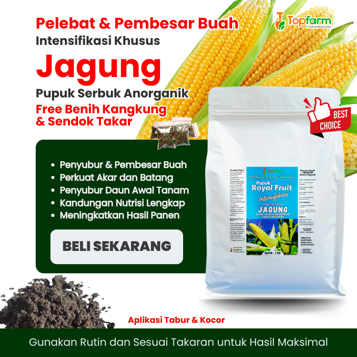 Pupuk Jagung Terbaik / Pupuk Jagung Manis / Pupuk Jagung Masa Pertumbuhan / Pupuk Jagung Komplit