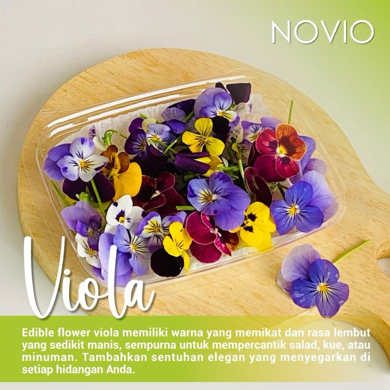 

Bunga Viola Fresh/Edible Flower/Fresh