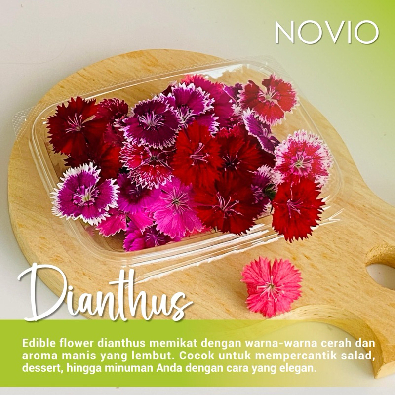 

Bunga Dianthus Fresh/Edible Flower/Fresh