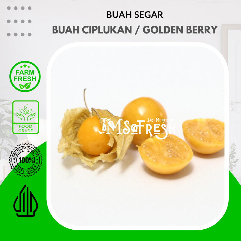 

[JMSoFresh] Buah Ciplukan / Golden Berry