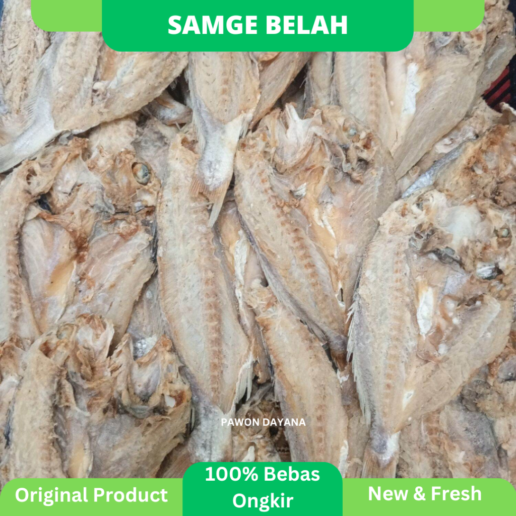 

Ikan Asin Samge Belah / Samge Belah / Ikan Kepala Batu Belah / Ikan Asin Belah