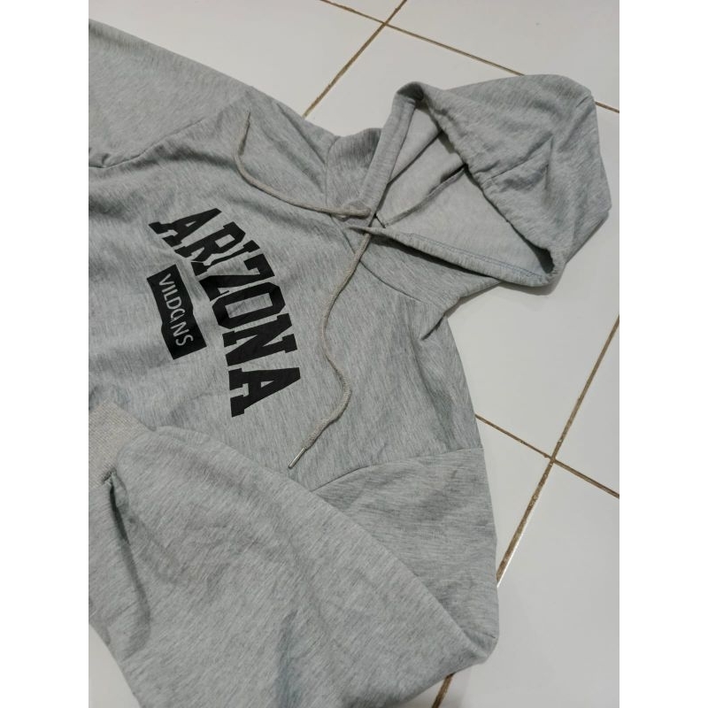 Arizona Boxy Hoodie _Grey