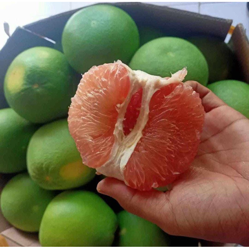 

Pamelo