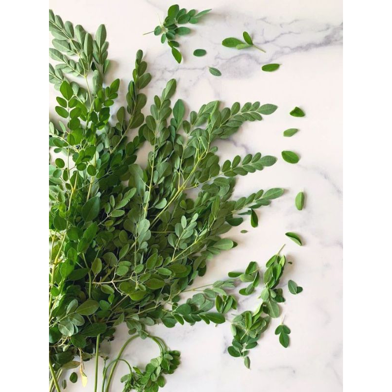 

Daun Kelor 1 plastik