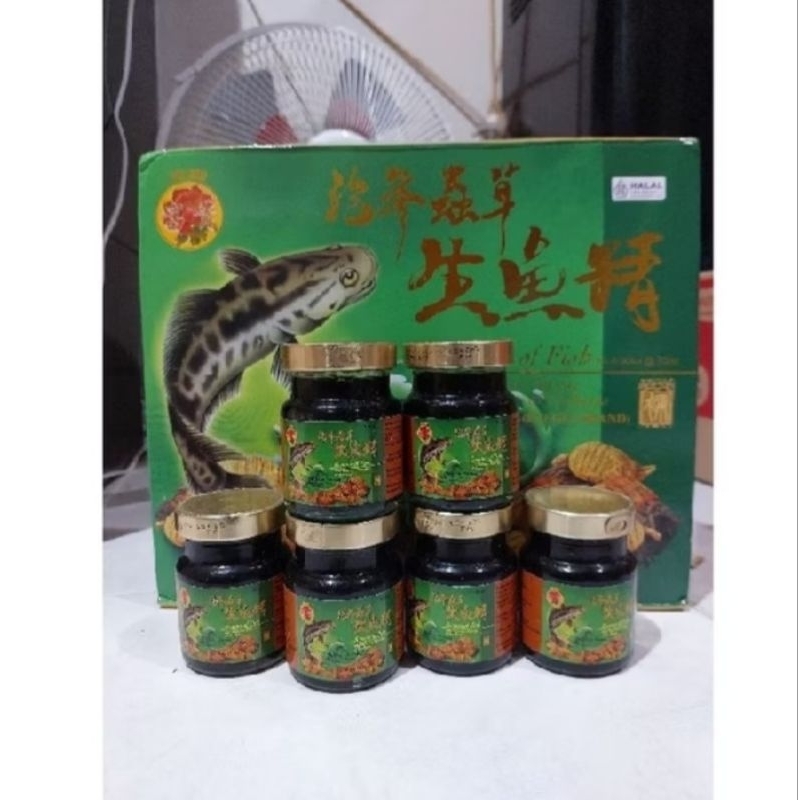 Saripati ikan Haruan/ Gabus Fu Gui Essence Of Fish