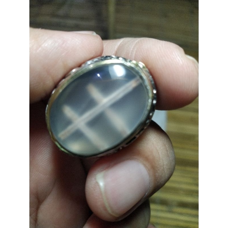 Batu Akik Tapak Jalak Sodo lanang Dabel Natural Alami Unik kode 22/504