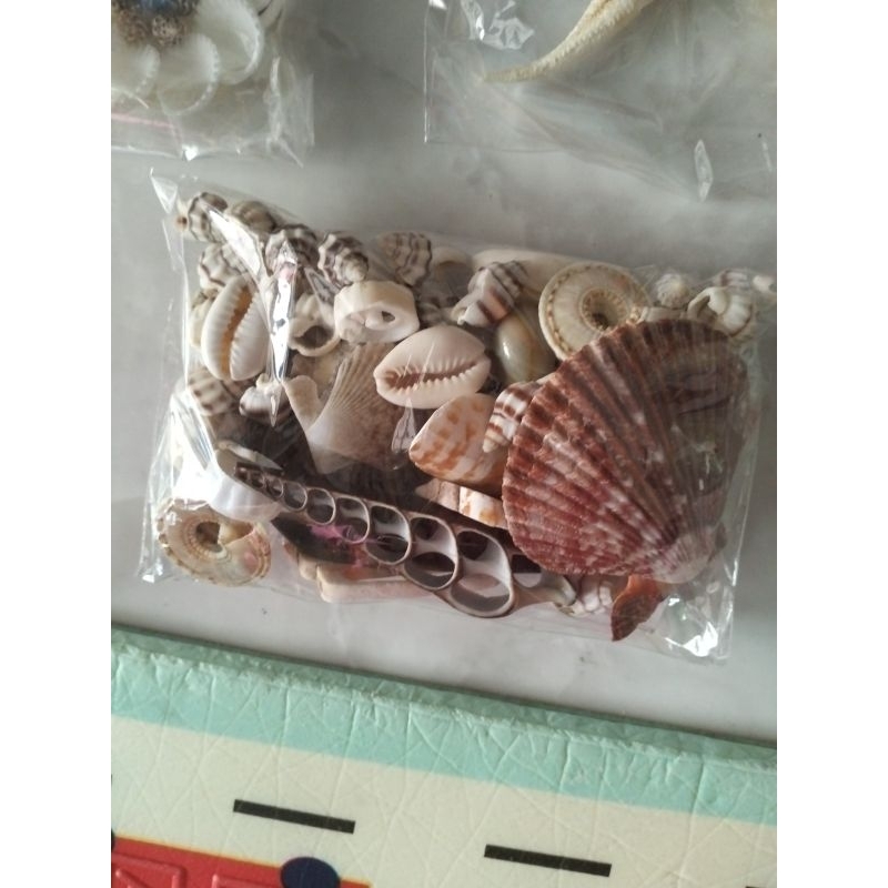 

KERANG CAMPUR