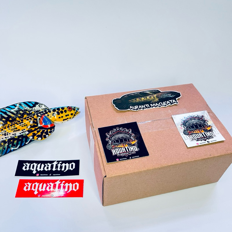 STICKER CHANNA AURANTI CB 4-6CM KUALITAS (FREE PELET)