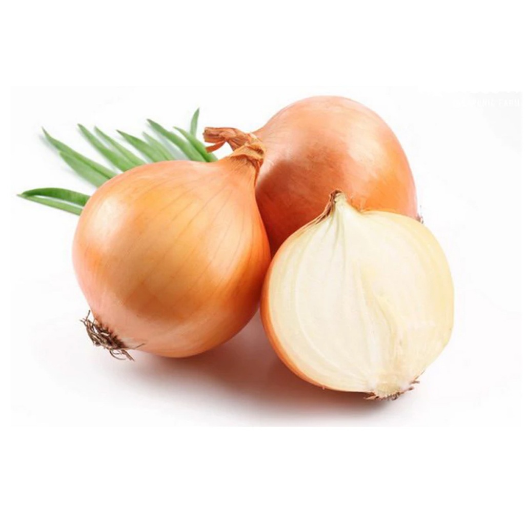 

Bawang Bombay Fresh Bandung 1 KG