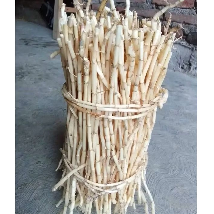 

akar alang Alang 500gram