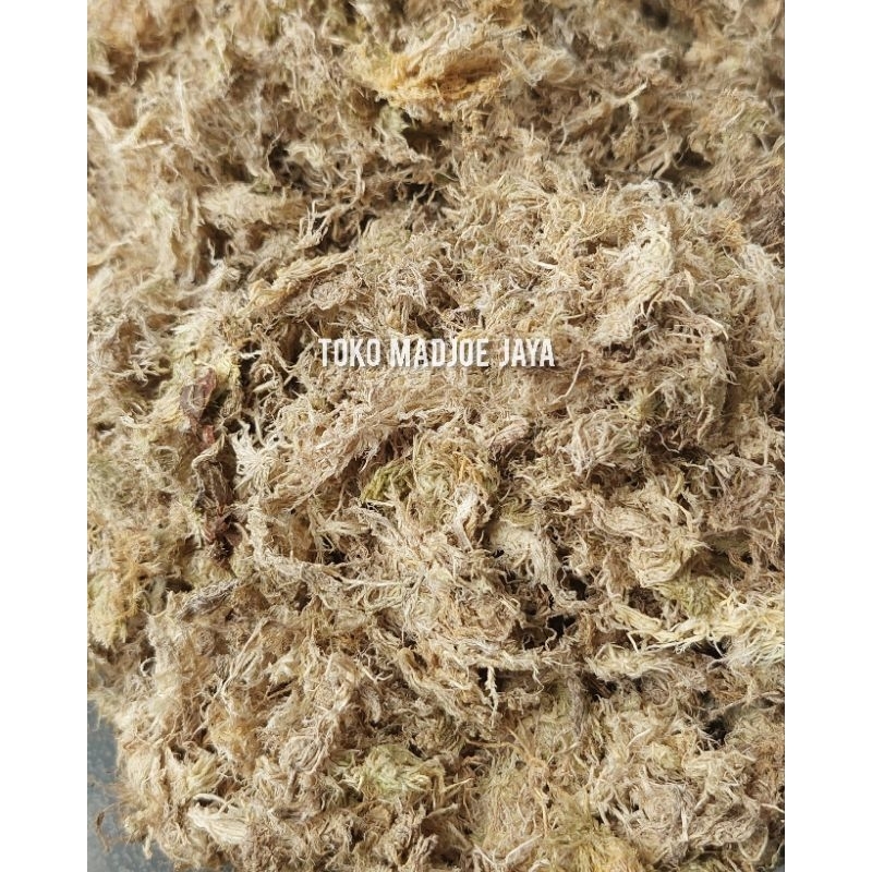 Media tanam anggrek spagnum moss lokal, per 100 grm