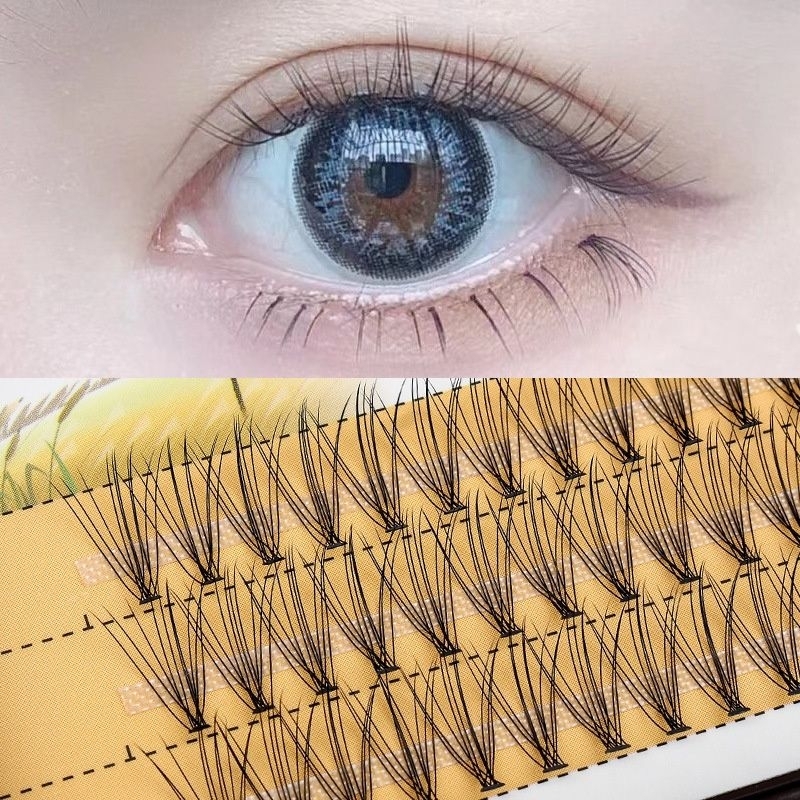 Eyelash bulu mata tanam natural