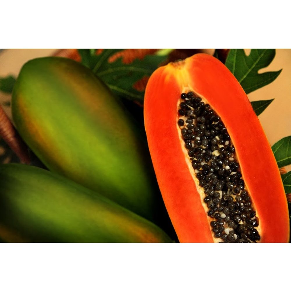 

PEPAYA CALIFORNIA MADU SUPER FRESH 1 BUAH