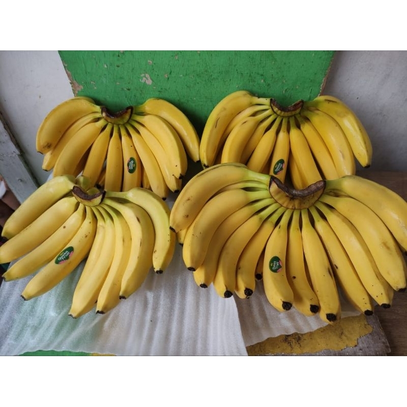 

PISANG CAVENDISH CENGKEH