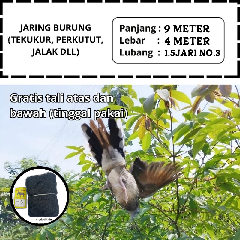 JARING BURUNG TERKUKUR JARING BURUNG TEKUKUR SIAP PAKAI JARING TEKUKUR JARING BURUNG TERMURAH NO.3