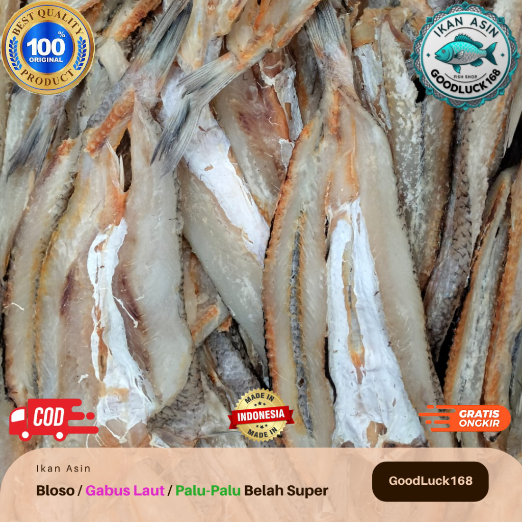 

Ikan Asin Bloso Belah / Gabus Laut / Palu-Palu Belah Super