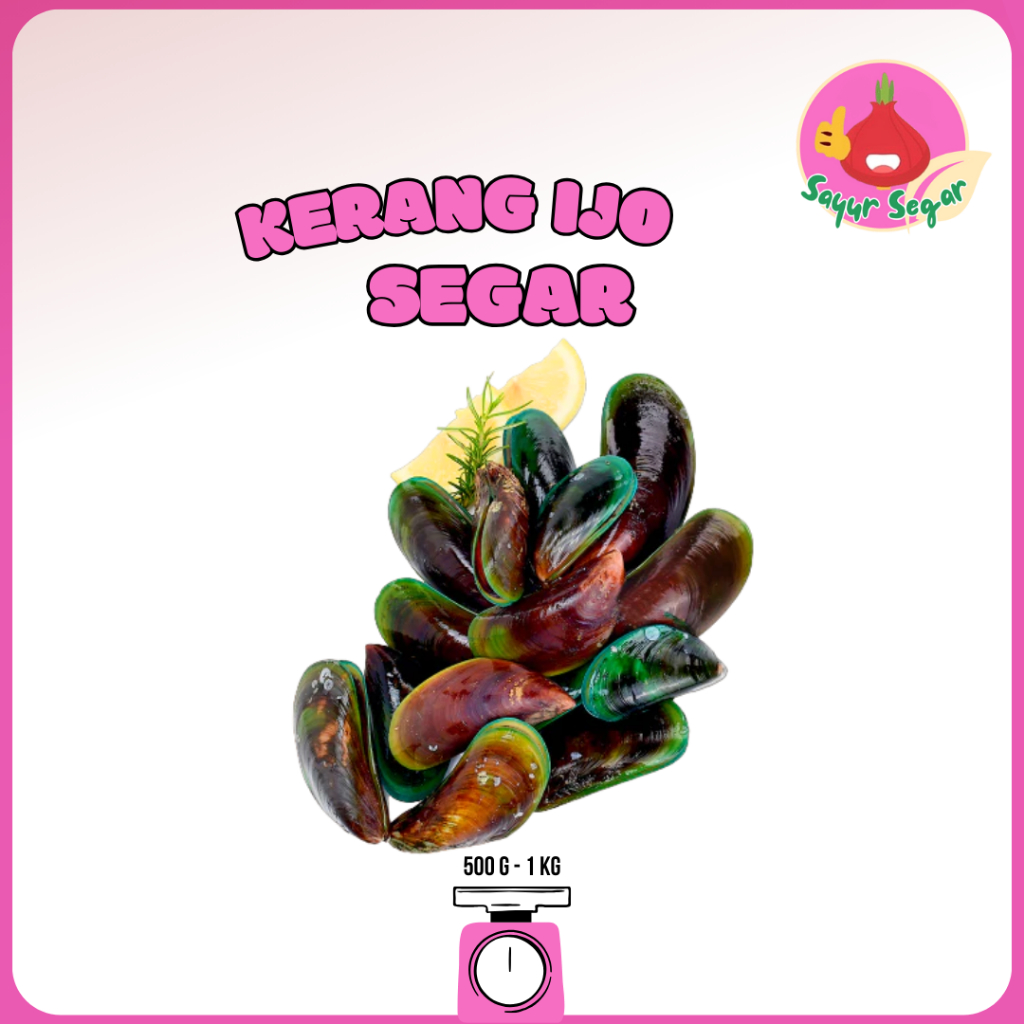 

Sayur Segar - Kerang Ijo Segar/Kerang Hijau Segar/ Green clamps