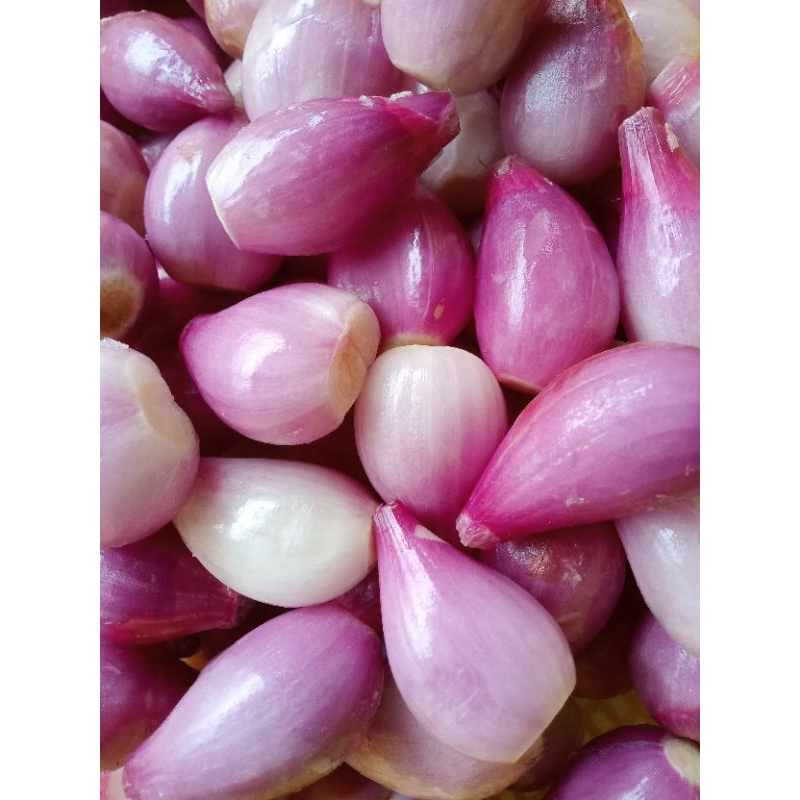 

Bawang merah kupas brebes