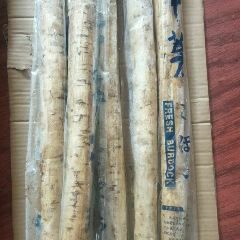 

Akar Ketela Gobo 10 Batang