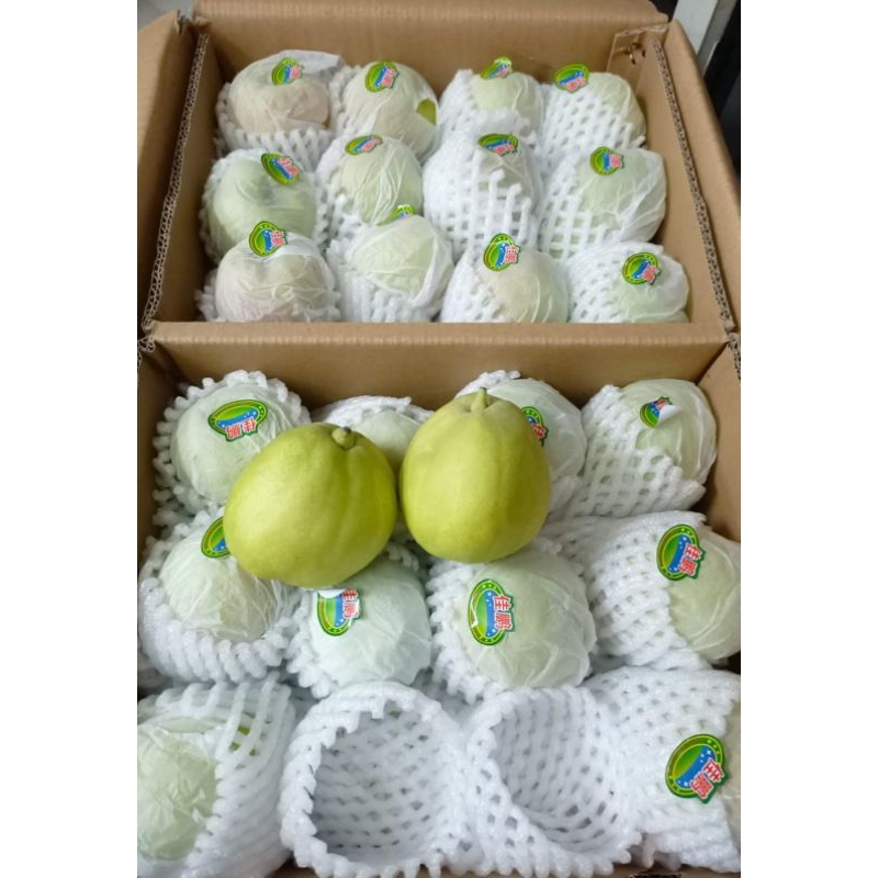 

PEAR XIANGLIE MANIIIISS DAN GARING 1KG.