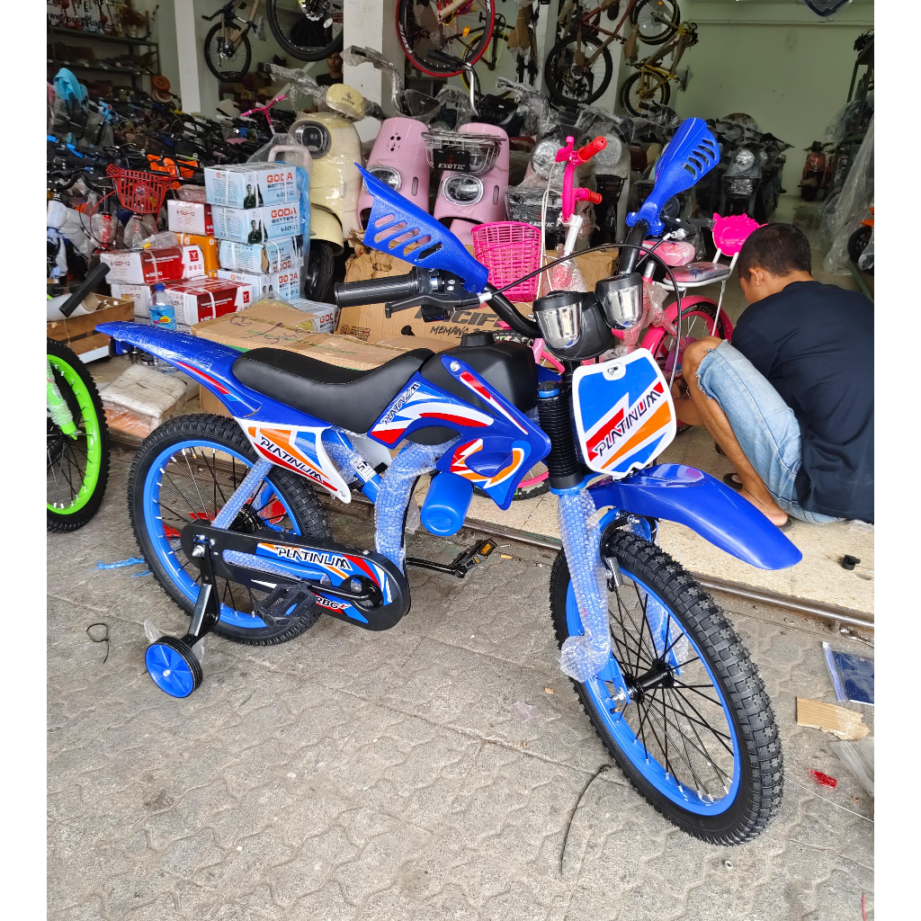 Sepeda Anak BMX 18 Inch Model Trail Motorcross Platinum