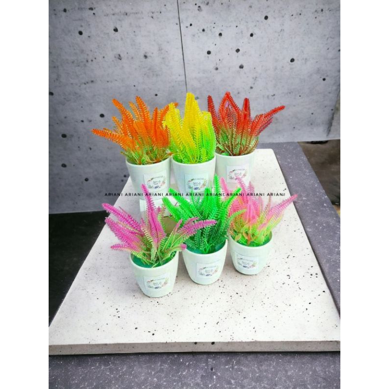 SET BUNGA PLASTIK SEMANGGI DENGAN POT MELAMIN PUTIH BULAT STIKER