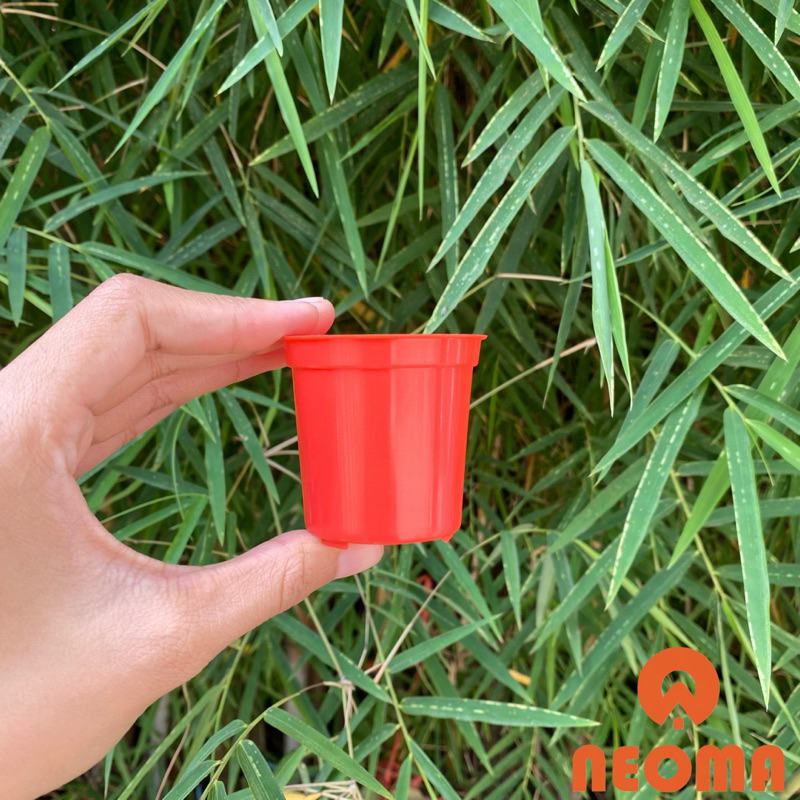 Pot Bunga Pot Bibit Tanaman Hias Pot Souvenir Mini 5 cm Warna Merah Cabe Neoma Plastindo