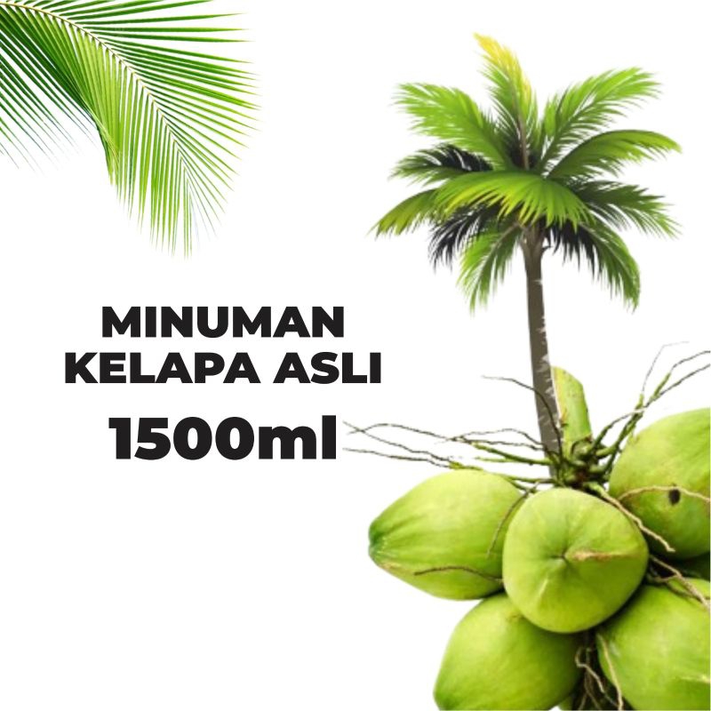 

air kelapa original