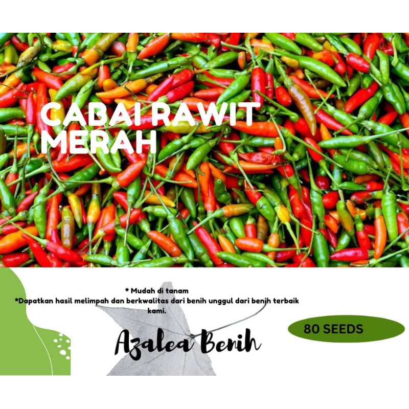 Benih Cabe Rawit Merah