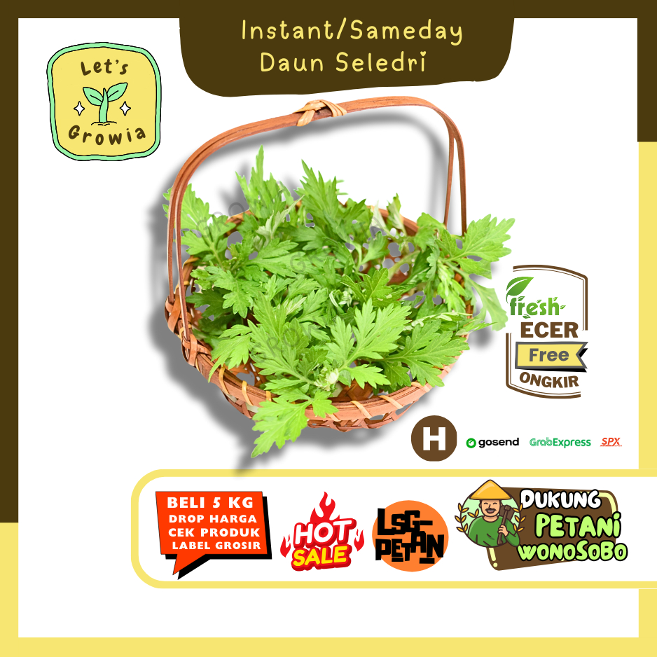 

Growia || Daun Seledri / Daun Seldri -- Hasil Petani Langsung Ecer Sayur Gunung (H)