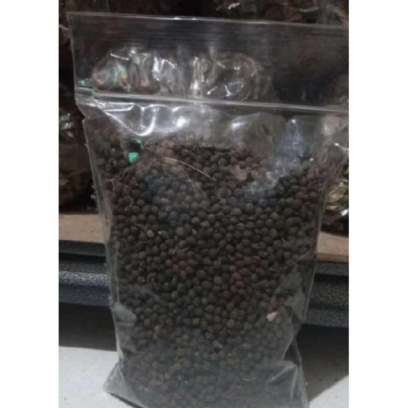 

jual buah angkung kering obat herbal 100 biji